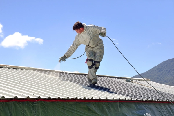 Roof Cleaning Services