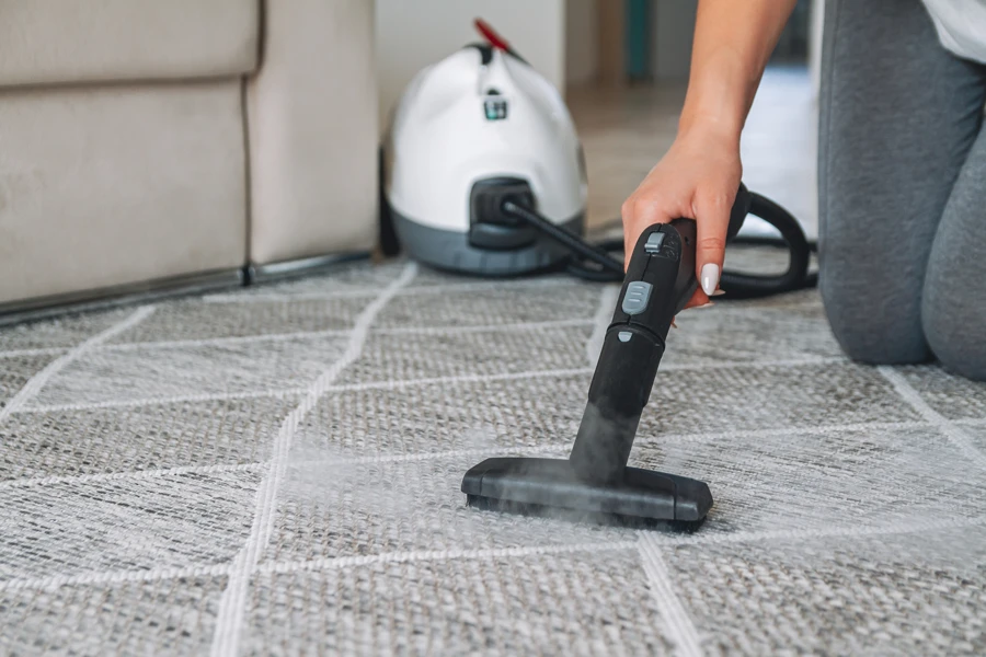 What to Expect During a Professional Carpet Cleaning Service in Escondido, CA