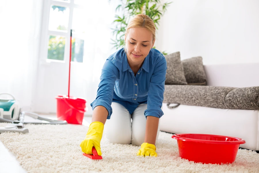 What to Expect During a Professional Carpet Cleaning Service in Escondido, CA