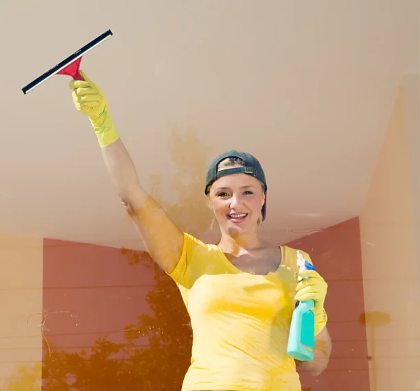 Professional Window Washing Services in Escondido, CA